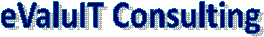 eValuIT Consulting